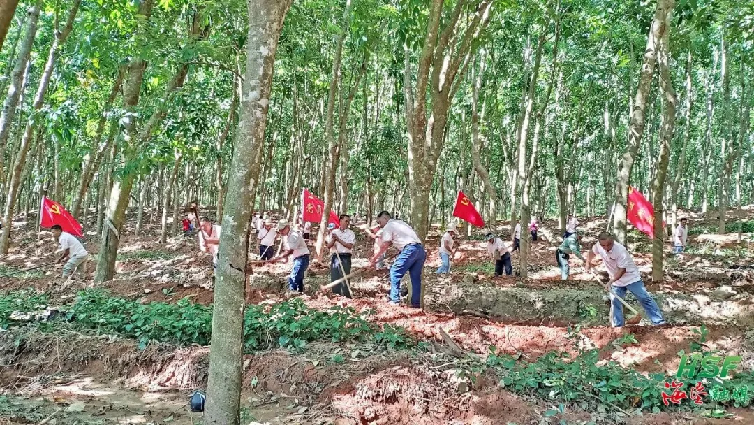邦溪分公司：黨建賦能“新思路” 跑出高質量發展“加速度”